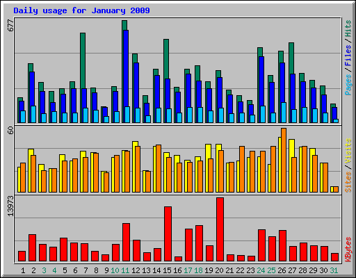 Daily usage for January 2009