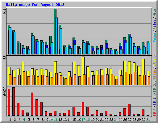 Daily usage for August 2013