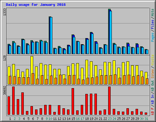 Daily usage for January 2016