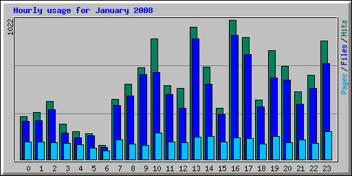 Hourly usage for January 2008