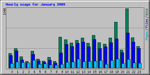 Hourly usage for January 2009