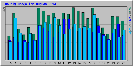 Hourly usage for August 2013