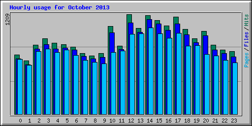 Hourly usage for October 2013