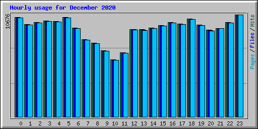 Hourly usage for December 2020